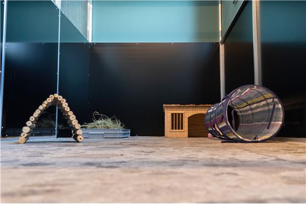 Opvang voor konijnen