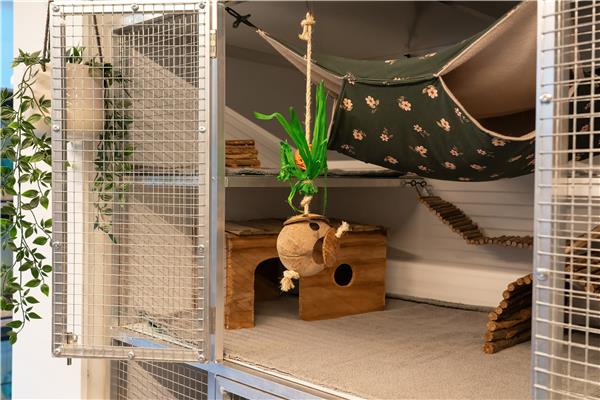 Opvang voor chinchilla's
