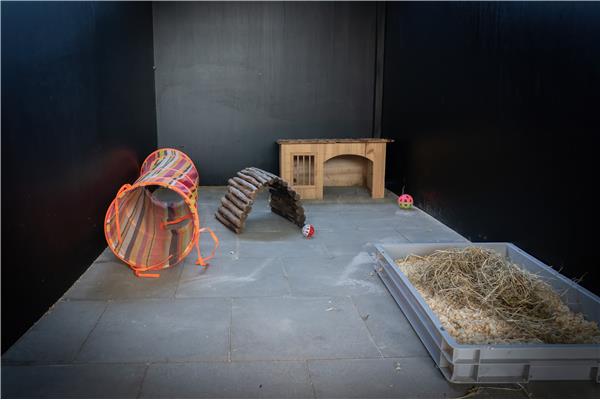 Opvang voor konijnen