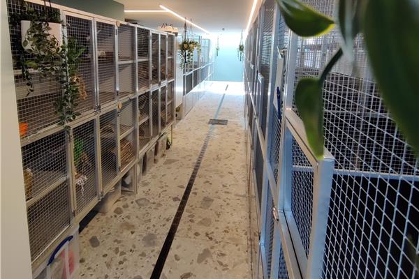 Opvang voor konijnen